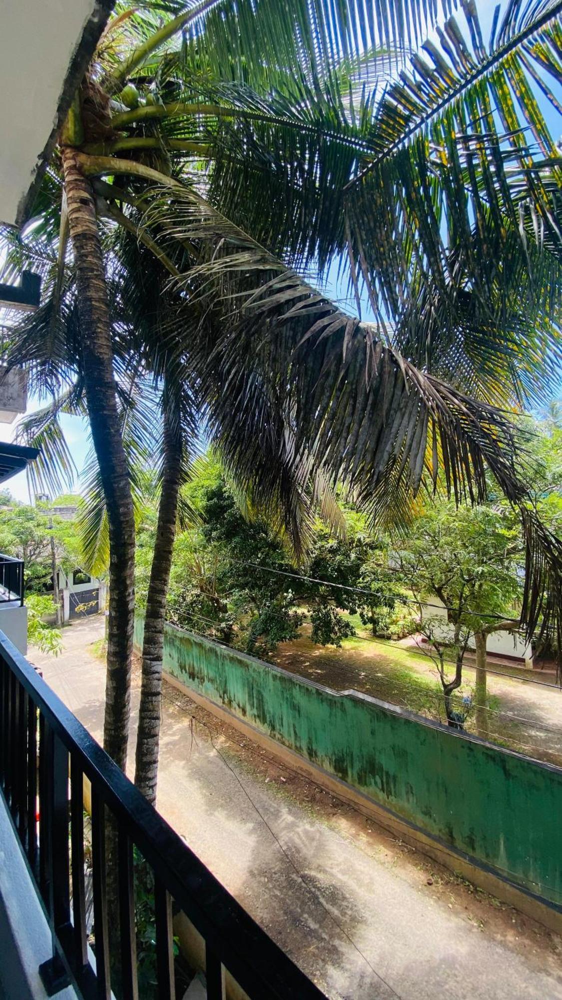 הוילה גאלה Coco House מראה חיצוני תמונה
