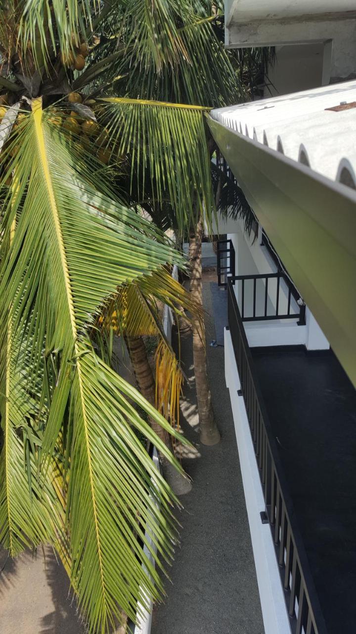 הוילה גאלה Coco House מראה חיצוני תמונה
