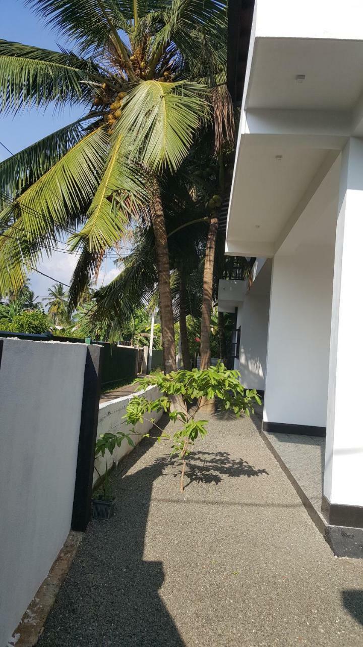 הוילה גאלה Coco House מראה חיצוני תמונה