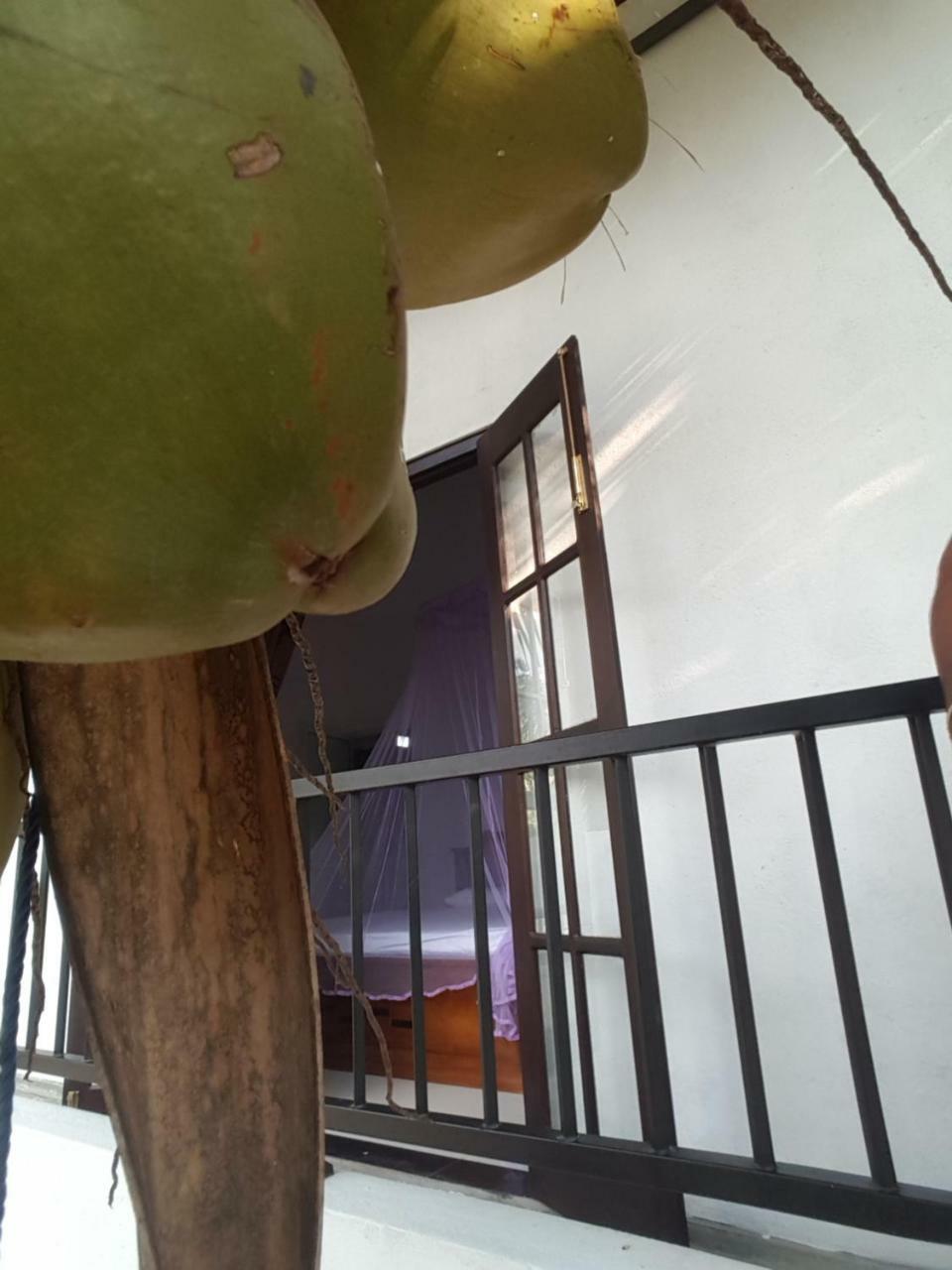 הוילה גאלה Coco House מראה חיצוני תמונה